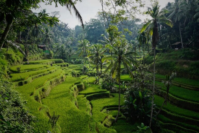 Island Escape: Bali’s Enchanting Secrets