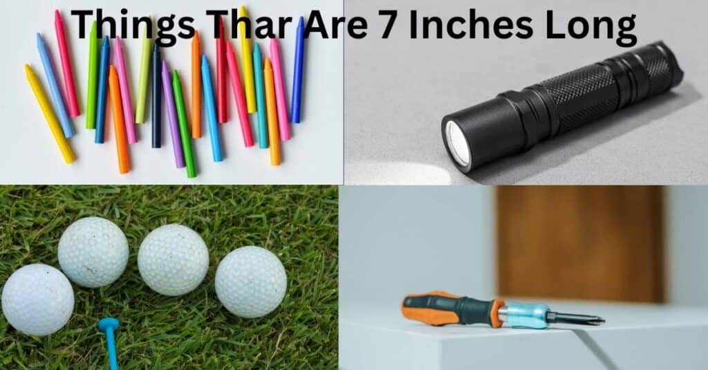 Common Things That Are 7 Inches Long