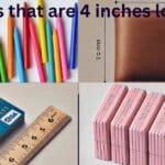 Things That Are 4 Inches Long