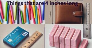 Things That Are 4 Inches Long